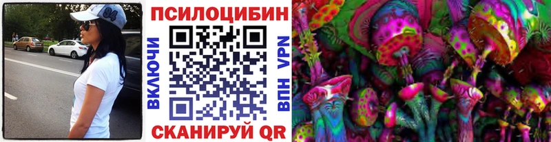Псилоцибиновые грибы Psilocybe  Купить закладки  Тулун 