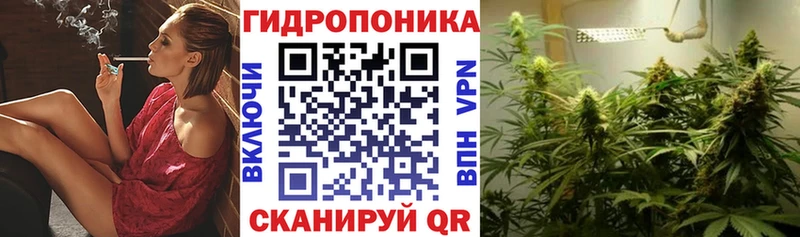 Купить закладки  Тулун  Каннабис Amnesia 